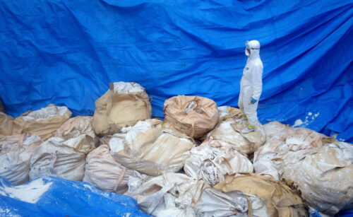 japonia, ptasia grypa, drób, kurczaki, wybijanie drobiu, utylizacja