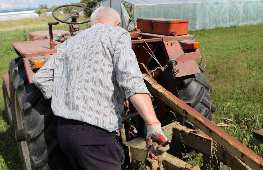 kleszcze, ugryzienie przez kleszcza, borelioza,  kleszczowe zapalenie mózgu, KZM