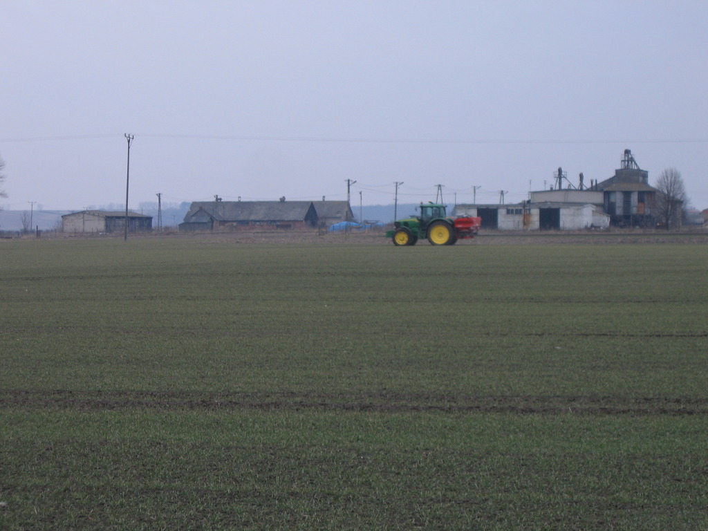 pszenica ozima, nawożenie, wiosna, ciągnik, rozsiewacz