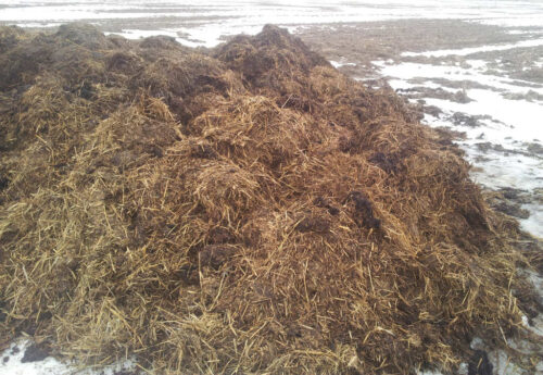 obornik, pole, pług