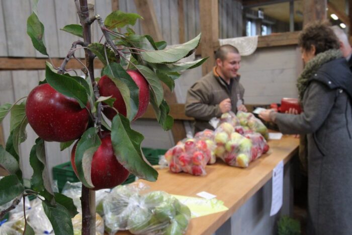 owoce, warzywa, wycofywanie z rynku owoców i warzyw, sadownictwo, rosyjskie embargo