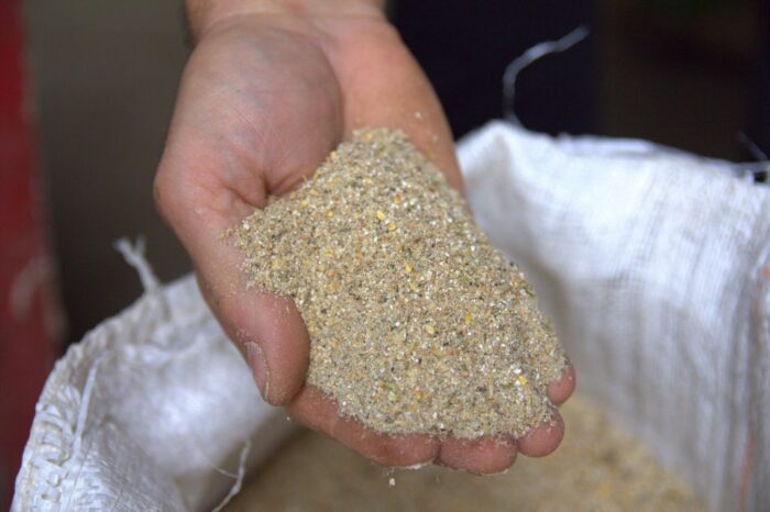 pasze gmo, pasze dla drobiu i trzody chlewnej, śruta sojowa, sejm