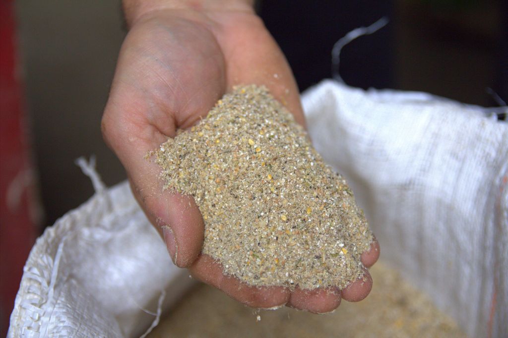 pasze gmo, pasze dla drobiu i trzody chlewnej, śruta sojowa, sejm