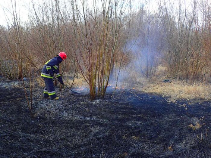 straż pożarna, pożar traw, wypalanie traw