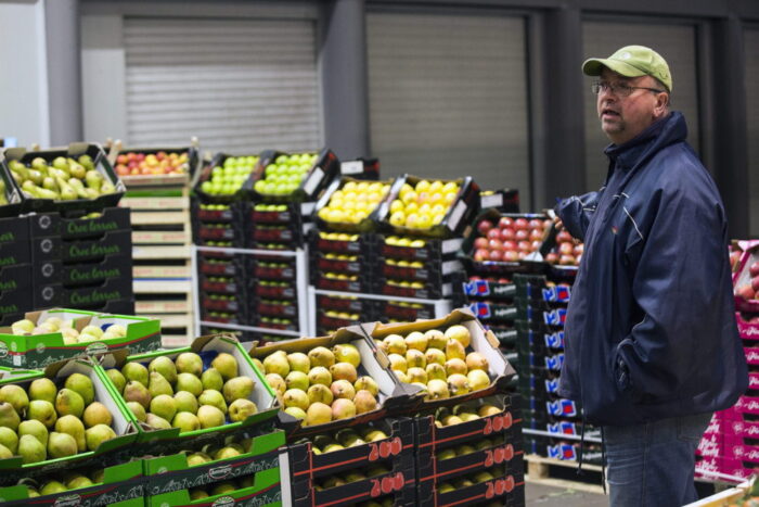 jabłka, wycofywanie jabłek z rynku, ceny jabłek, sadownictwo, phil hogan, krzysztof jurgiel