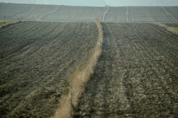 Sprzedaż państwowych nieruchomości rolnych, Zasoby Własności Rolnej Skarbu Państwa