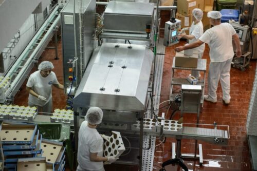 Krajowa Izba Lekarsko-Weterynaryjna, kil-w, żywność, bezpieczeństwo żywności