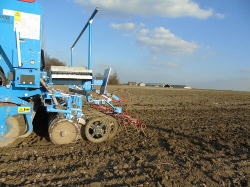 agregat uprawowo-siewny, siew jęczmienia browarnego