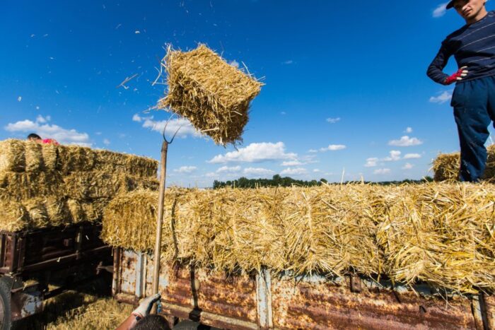 elektrownie na biomasę, biomasa, norwegia, oze, TergoPower