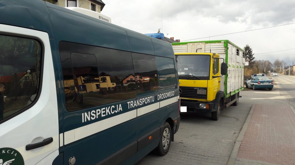 transport zwierząt, dobrostan, ITD, mandat, podlaskie