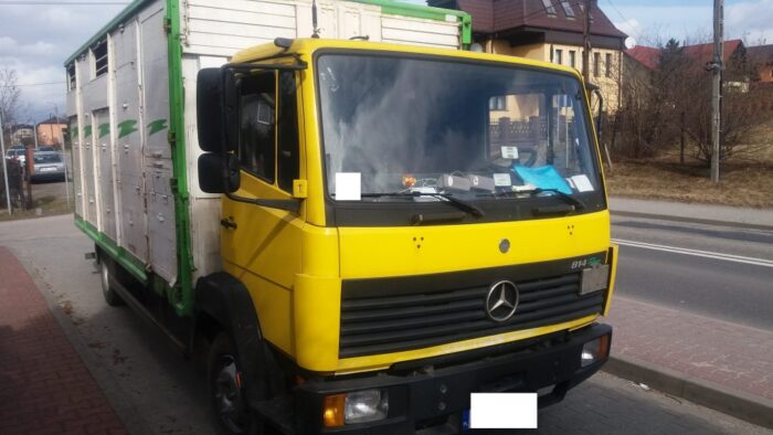 bydło, transport bydła, przestępstwo, policja, skandaliczny transport bydła