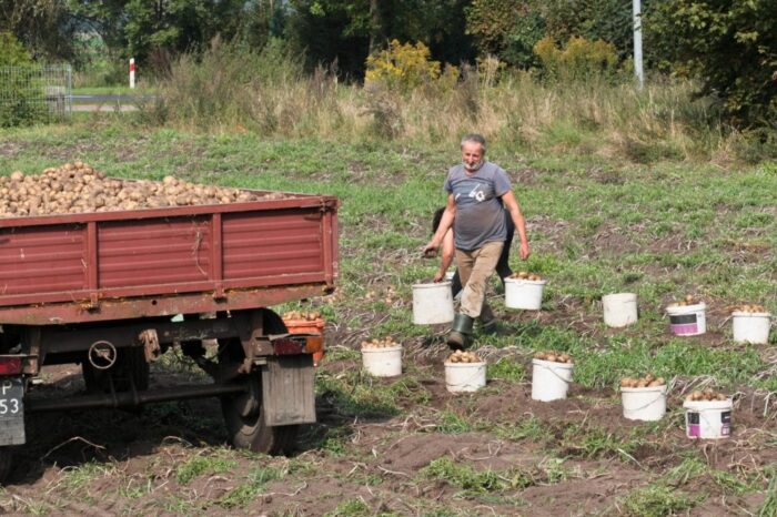 ubezpieczenia rolne, ubezpieczenie upraw, ubezpieczenie zwierząt, wsparcie dla rolnictwa, rząd