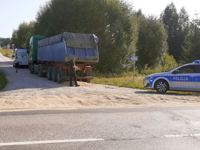produkcja zbóż, pszenica, zboża paszowe