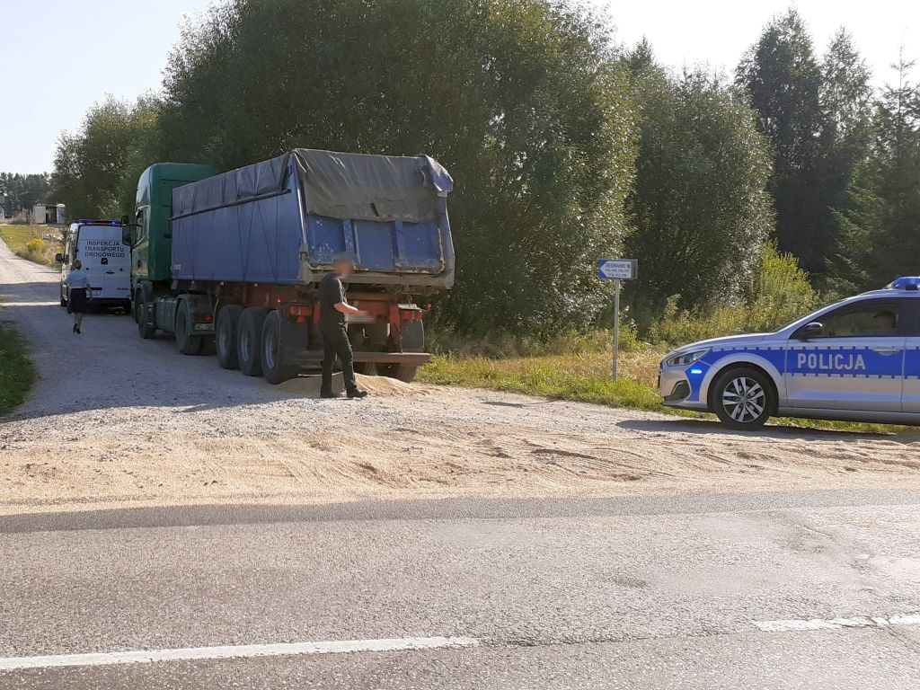 produkcja zbóż, pszenica, zboża paszowe