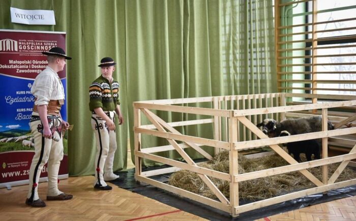 kurs juhas, kurs baca, małopolskie, kurs czeladnika juhasa, owce