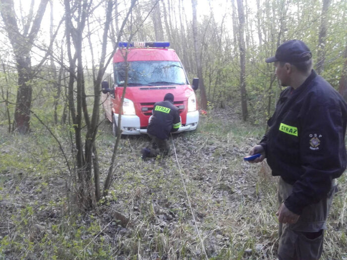 OSP Sahryń, strażacy, padły łoś