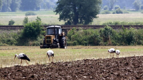 lubuskie, konkurs na najpiękniejszą wieś, Stanisław Tomczyszyn, ochrona krajobrazu, lokalne inicjatywy
