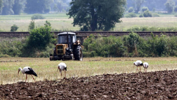 lubuskie, konkurs na najpiękniejszą wieś, Stanisław Tomczyszyn, ochrona krajobrazu, lokalne inicjatywy