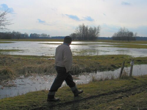 osn, tereny osn, odpływ azotu ze źródeł rolniczych, azot, gospodarowanie nawozami
