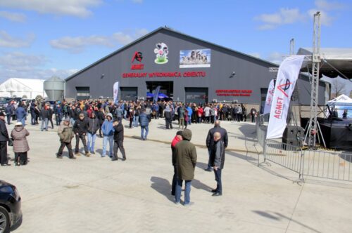 otwarcie obory, GEA, bydło mleczne