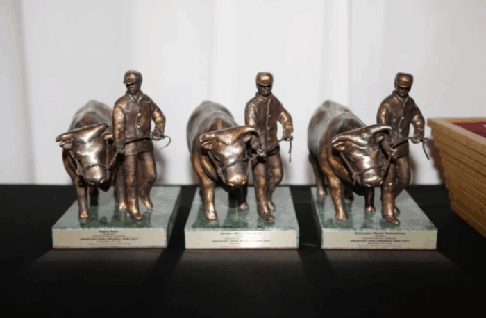 Producent Bydła Mięsnego Roku 2024, bydło mięsne, hodowcy bydła, producenci bydła, krowy mamki, opasy, cielęta, PZPBM