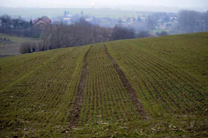 gwarancje do kredytów, rozwój obszarów wiejskich, prow 2014-2020, wsparcie dla rolnictwa