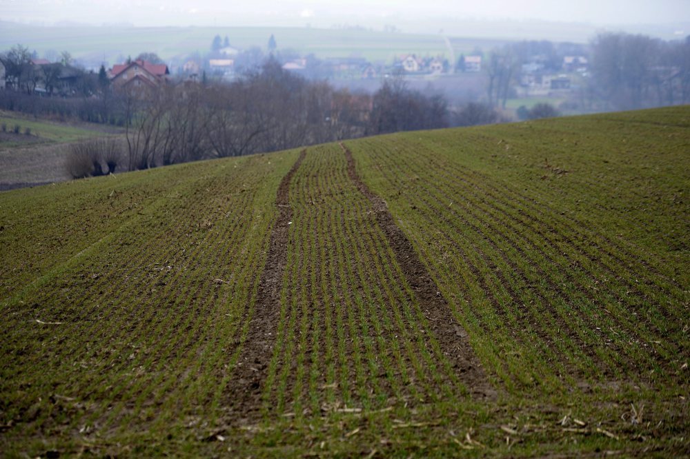 gwarancje do kredytów, rozwój obszarów wiejskich, prow 2014-2020, wsparcie dla rolnictwa