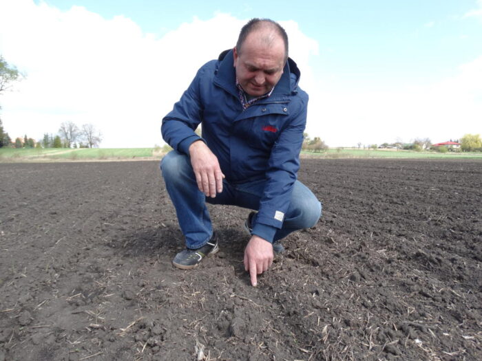 Witold Ferens, buraki, przymrozki, pole, Sahryń