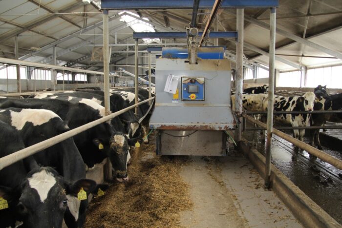 robot TMR, pellon, bydło mleczne, ściółka