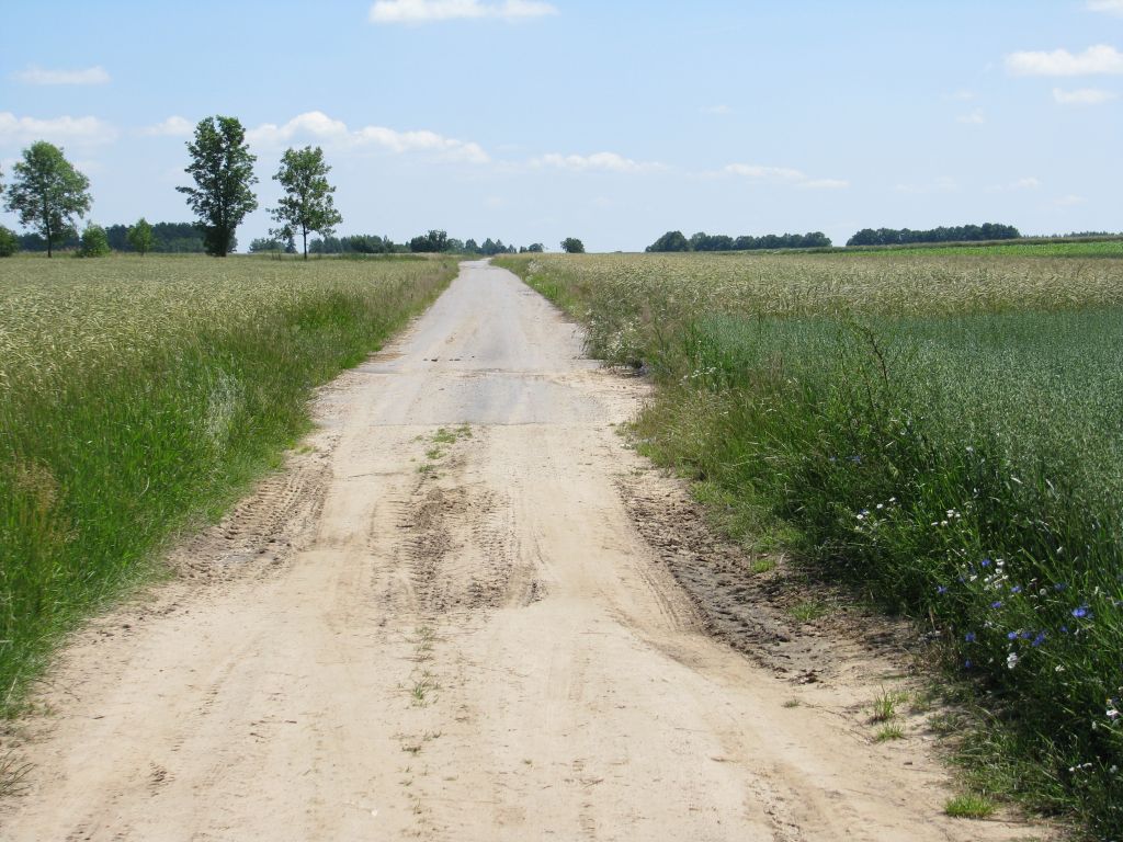 scalanie gruntów, scalanie, podlasie, powiat mioniecki, doijazd do pól, łączenie działek