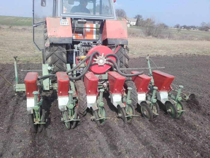 buraki cukrowe, siew, termin siewu, głębokość siewu, gęstość siewu, staranność siewu, jednostka siewna