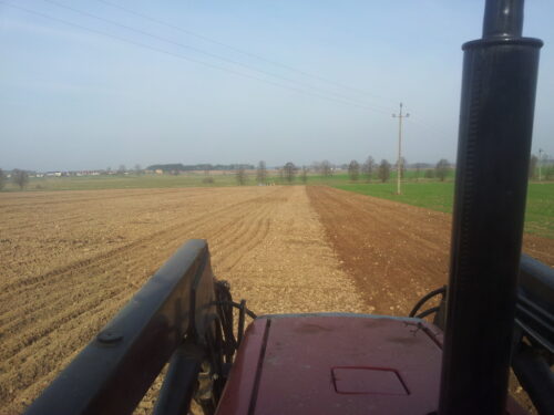 siew zbóż jarych, Wiktor Szmulerwicz, KRIR, Grzegorz Walijewski, susza rolnicza