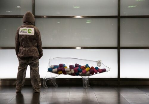 produkcja trzody chlewnej, ceny świń, opłacalność produkcji