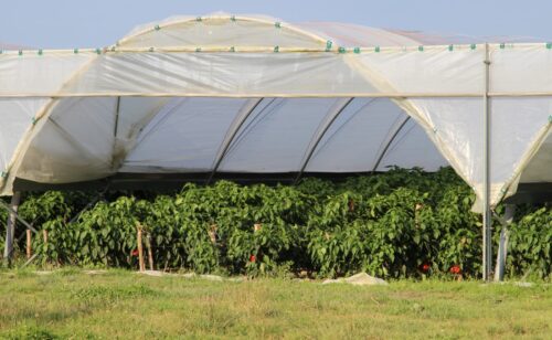 działania przedsiębiorcze i społeczne na obszarach wiejskich, nowe miejsca pracy, konkurs