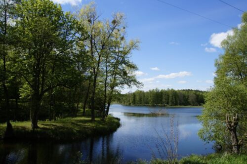 woda, ceny wody, prawo wodne, ministerstwo środowiska, komisja europejska