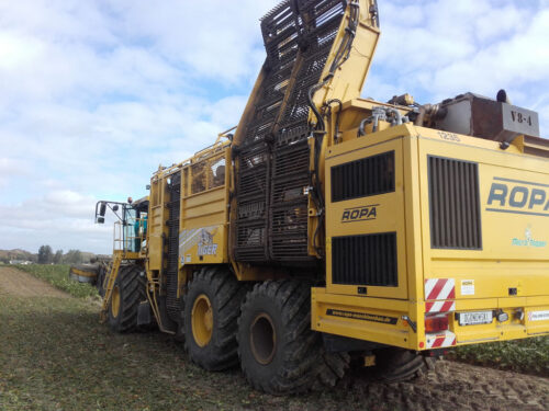 zbiór buraków, kombajn, Sahryń