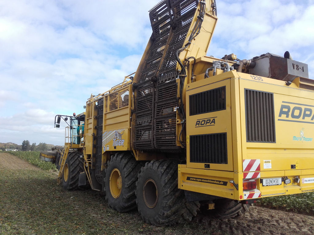 zbiór buraków, kombajn, Sahryń