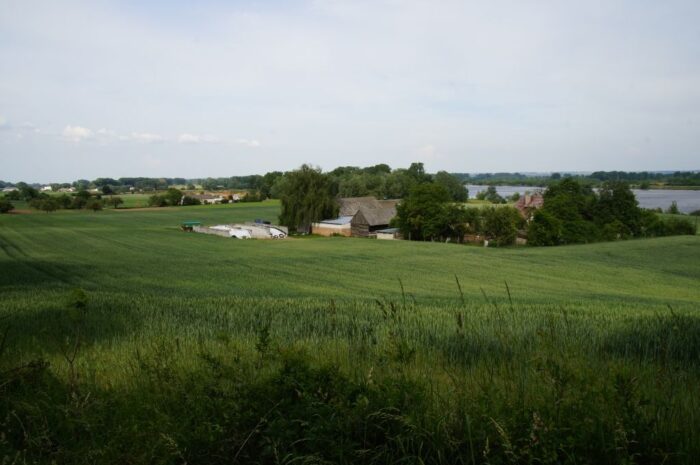 wójtowie, burmistrzowie, samorząd lokalny, obszary wiejskie, ograniczenie kadencyjności