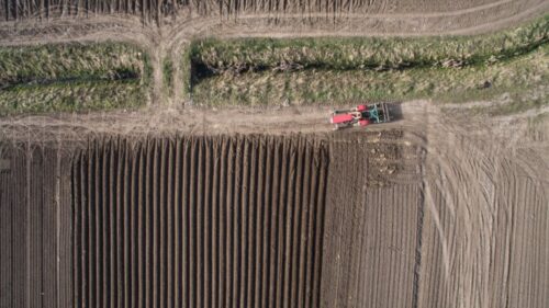 siedlisko, kukiz 15, sejm, pozarolnicza działalność gospodarcza, obszary wiejskie