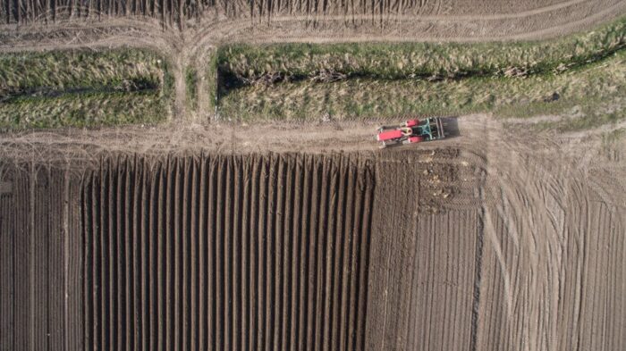 siedlisko, kukiz 15, sejm, pozarolnicza działalność gospodarcza, obszary wiejskie