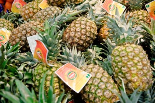związek rolniczy Coldiretti, włochy, żywność, mity na temat żywności, ananas, mleko, mięso
