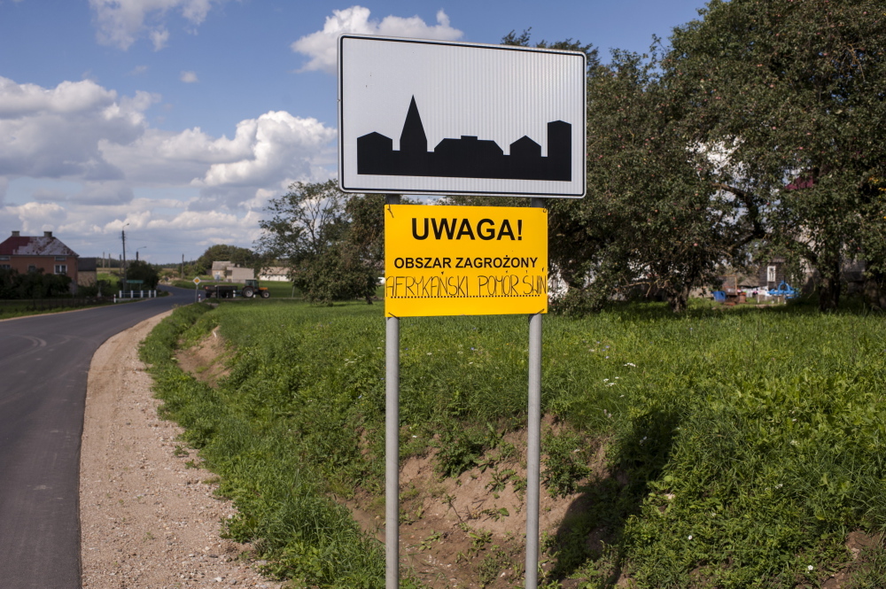 asf, ptasia grypa, Krzysztof Niemczuk, Instytut Weterynaryjny w Puławach, służby weterynaryjne, bioasekuracja