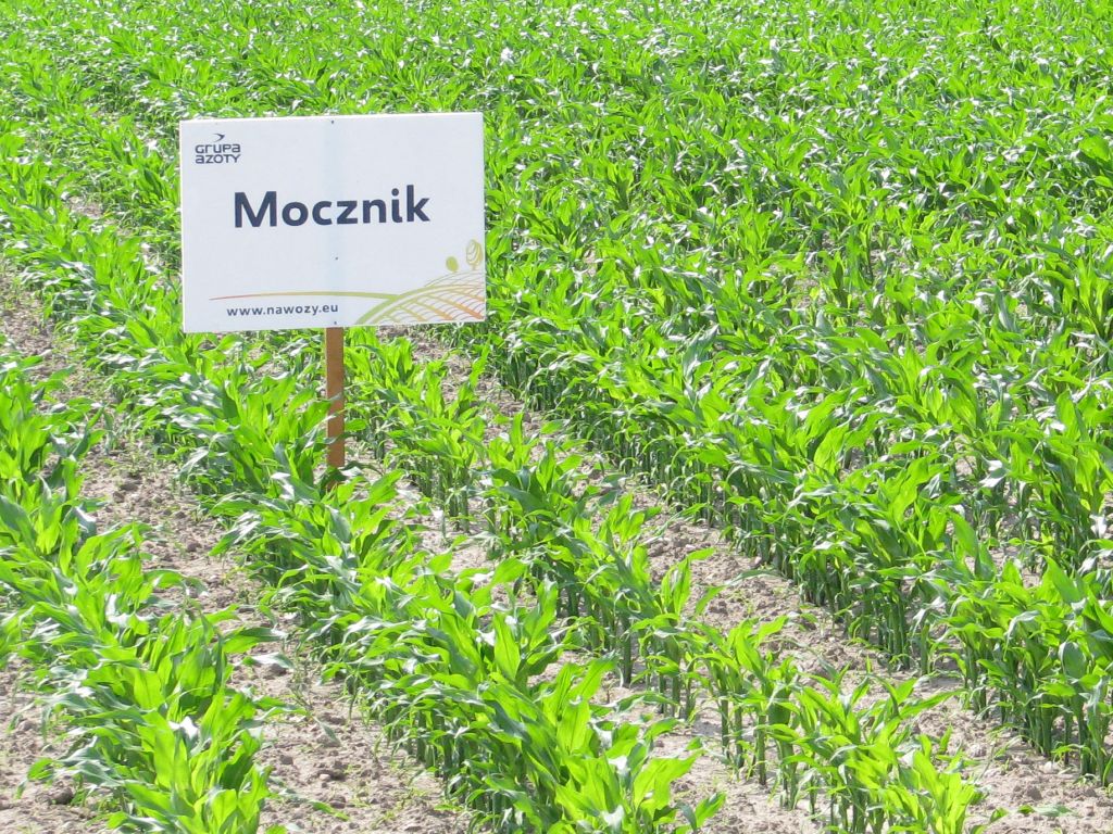 grupa azoty, puławy, produkcja nawozów, saletra, rsm, mocznik