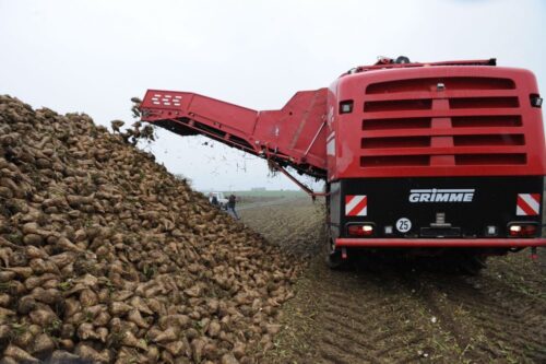 cukier, ceny cukru, kwota cukrowa, produkcja cukru, zapasy cukru