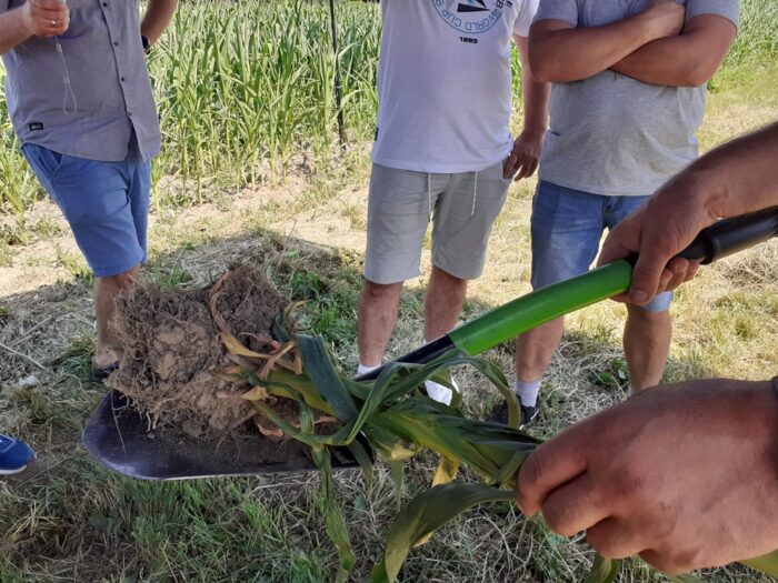 Panorama Pół TimacAgro, TimacAgro, Dębno, Marcin Weremczuk, Witold Szczepaniak