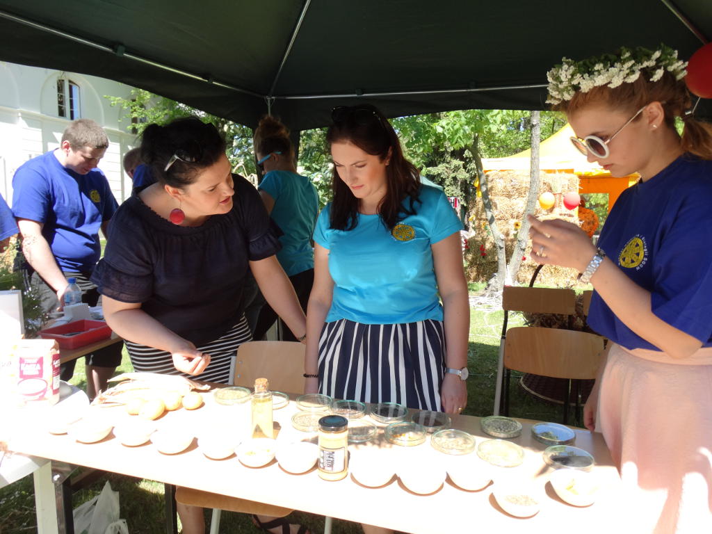 Dni SGGW, WRiB, studenci