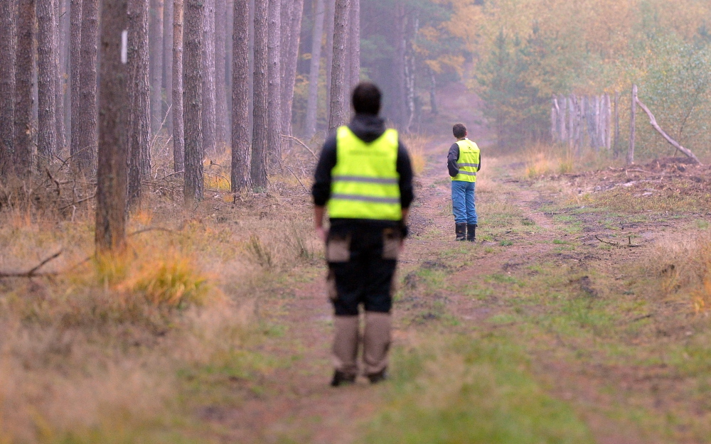 asf, walka a asf, dziki, inwentaryzacja dzików, utylizacja dzików, lubelszczyzna