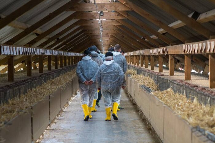 produkcja naturalnych skór, eksport futerek, szczepan wójcik