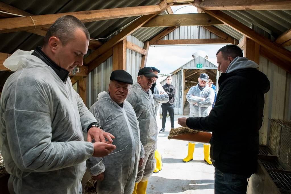 rolnictwo, hodowla i chów zwierząt futerkowych, dobrostan, prawo, przepisy
