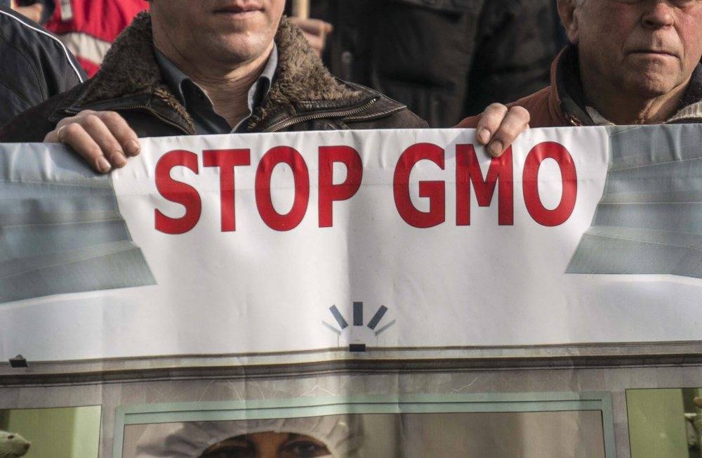 ustawy o mikroorganizmach i organizmach genetycznie zmodyfikowanych, prawo, przepisy, GMO